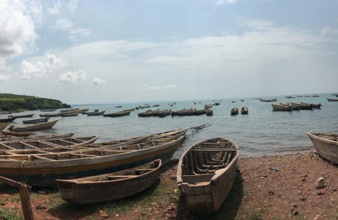 My home